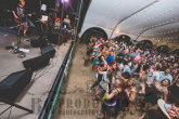 Thumbnail of Summer Ale Fest - Philadelphia Zoo - 07/16/2016 - pic 26